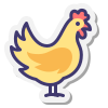 Pollo